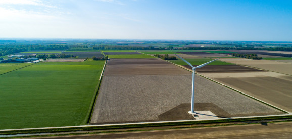 Afbeelding: Krachtig herstel van prijzen landbouwgrond